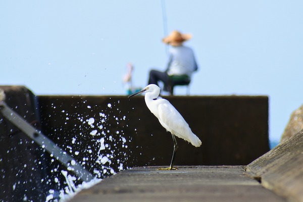 Fishing Guide Spanien